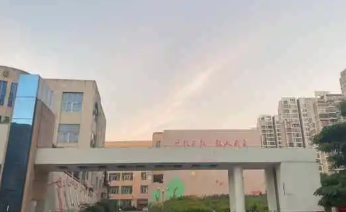 校園環(huán)境